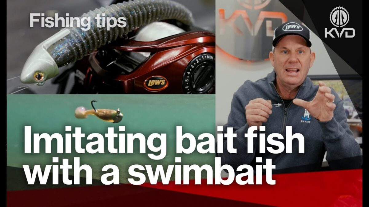 Kevin Fish How to fish in all seasons with a swimbait - a deep dive demonstration ...